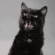 sabo-cat