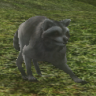 Slamandrak
